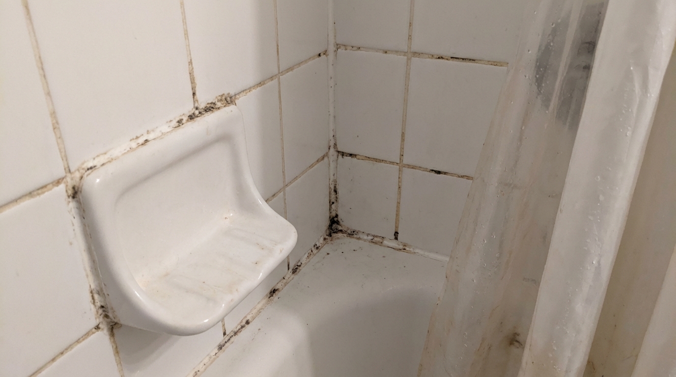 moisissure joints salle de bain en situation réelle